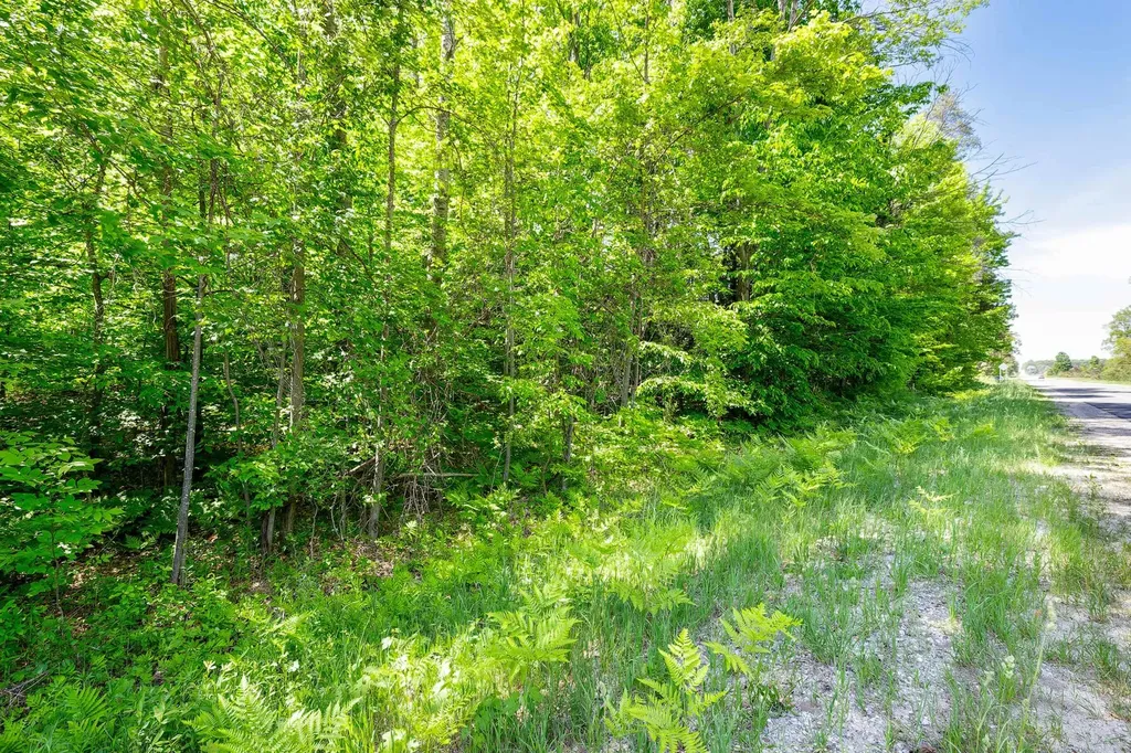 7764 S Weldon Road Weldon Township MI 49683