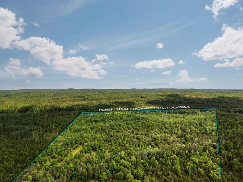 4011 W Forest Road Forest Township MI 49651