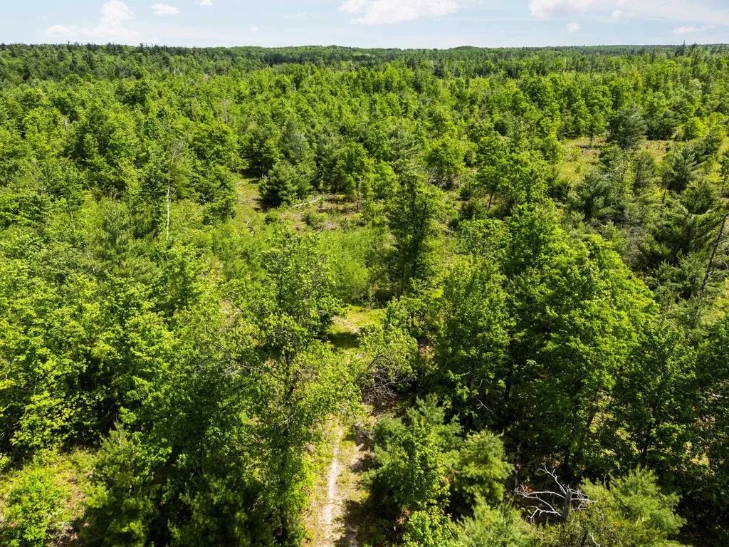 4011 W Forest Road Forest Township MI 49651