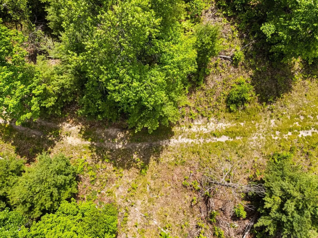 4011 W Forest Road Forest Township MI 49651