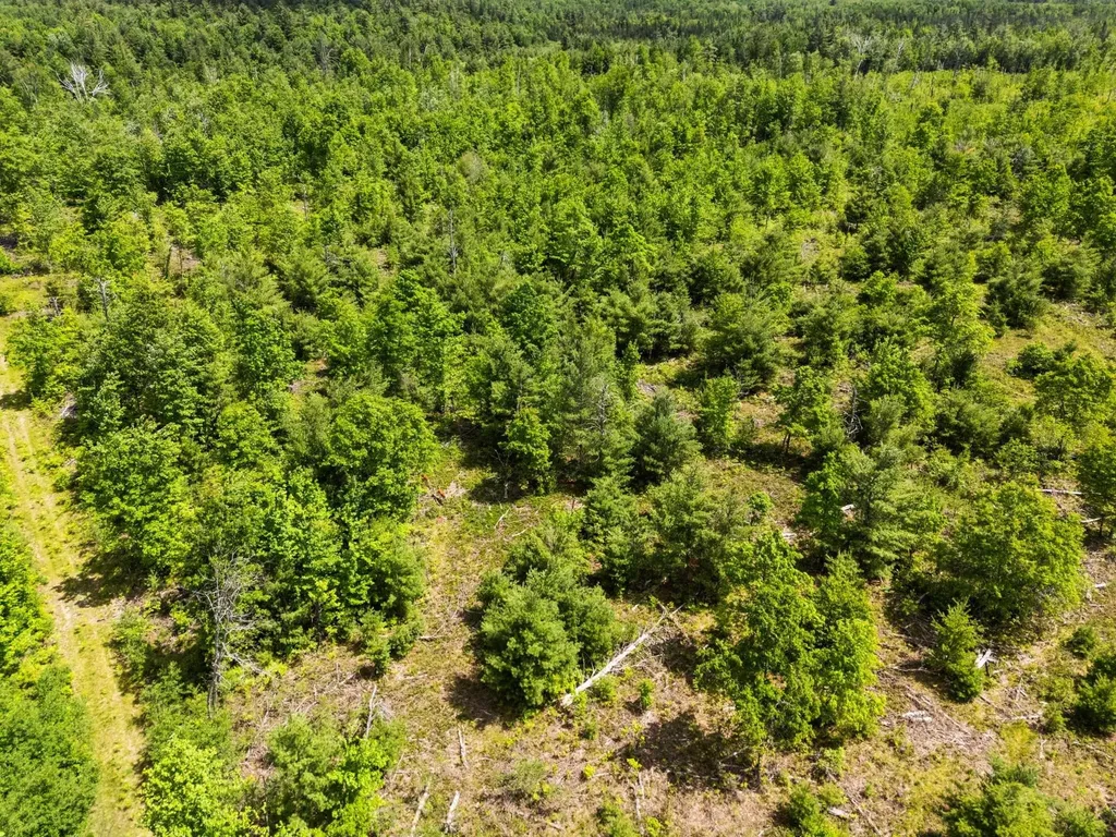 4011 W Forest Road Forest Township MI 49651