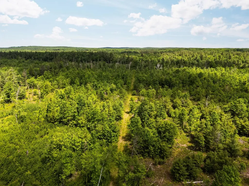 4011 W Forest Road Forest Township MI 49651