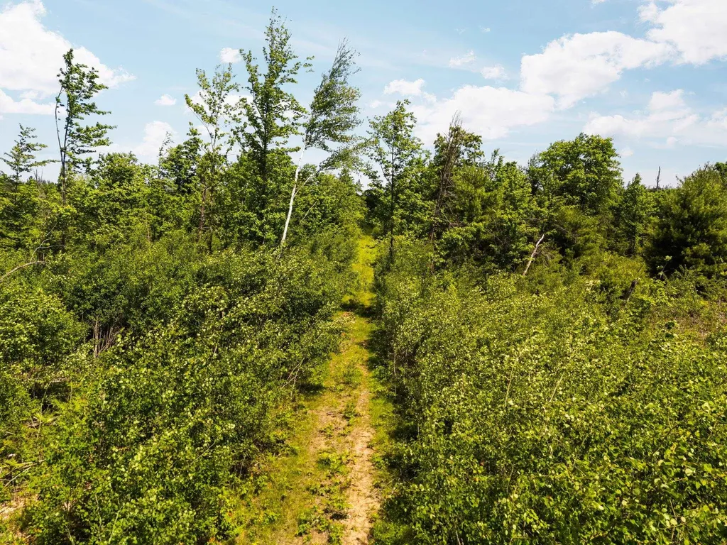 4011 W Forest Road Forest Township MI 49651