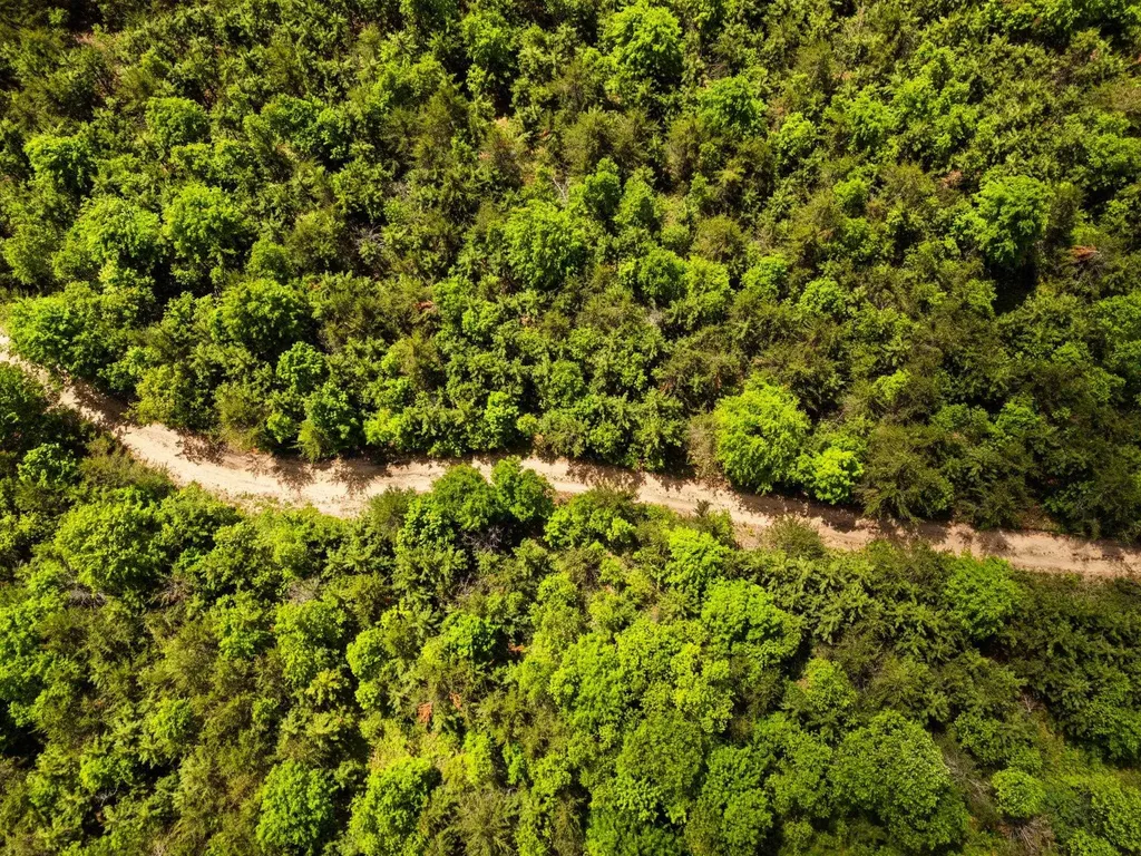 4011 W Forest Road Forest Township MI 49651
