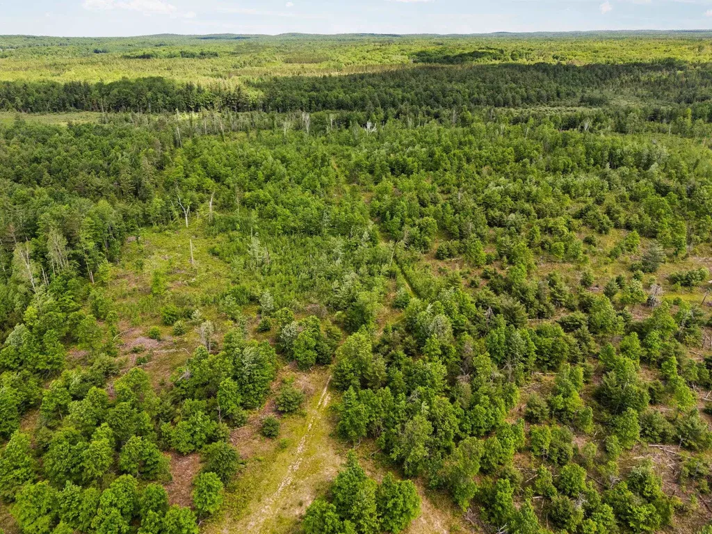 4011 W Forest Road Forest Township MI 49651