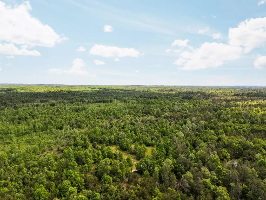 4011 W Forest Road Forest Township MI 49651