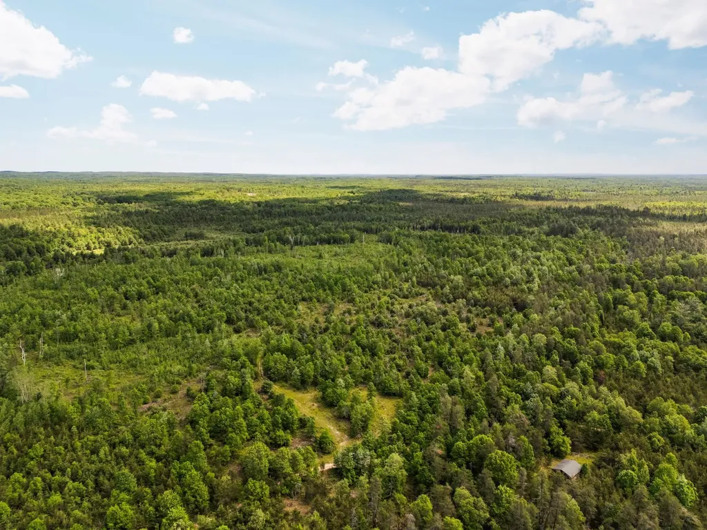 4011 W Forest Road Forest Township MI 49651