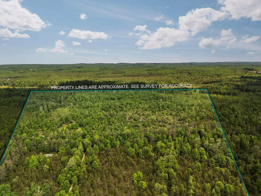 4011 W Forest Road Forest Township MI 49651