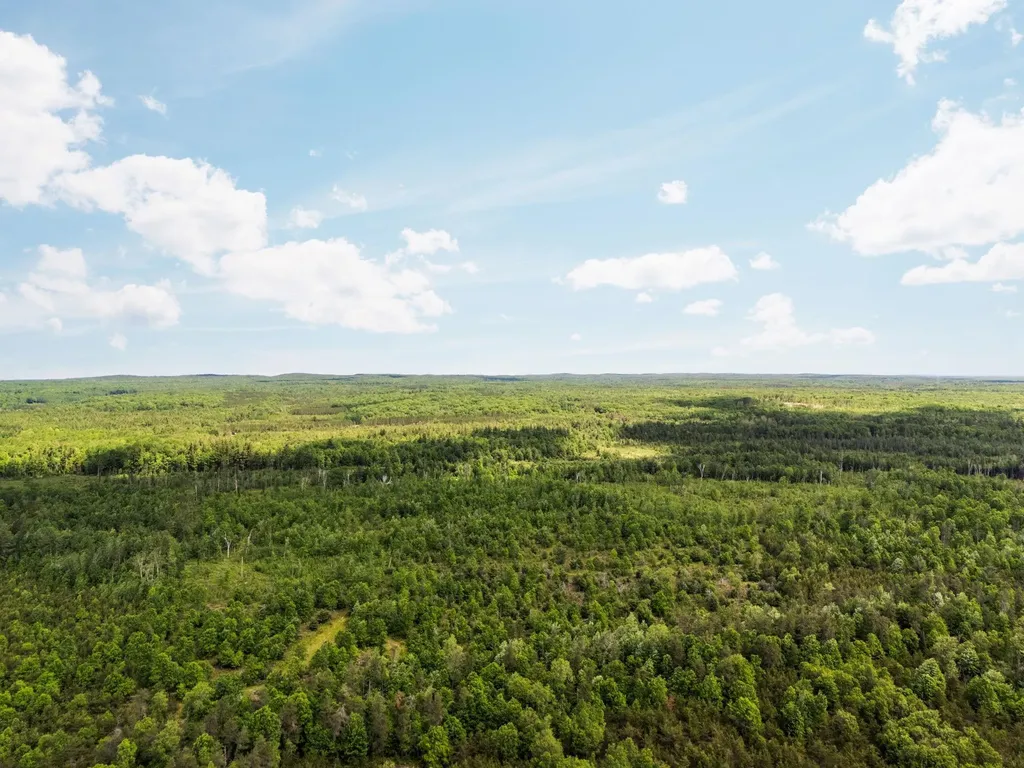 4011 W Forest Road Forest Township MI 49651