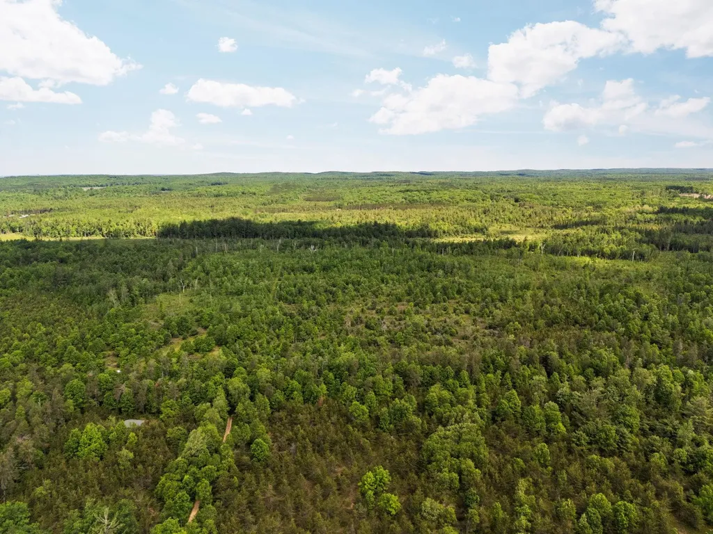 4011 W Forest Road Forest Township MI 49651
