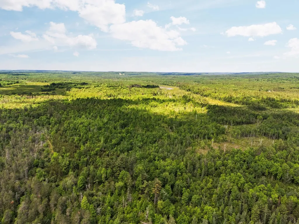 4011 W Forest Road Forest Township MI 49651