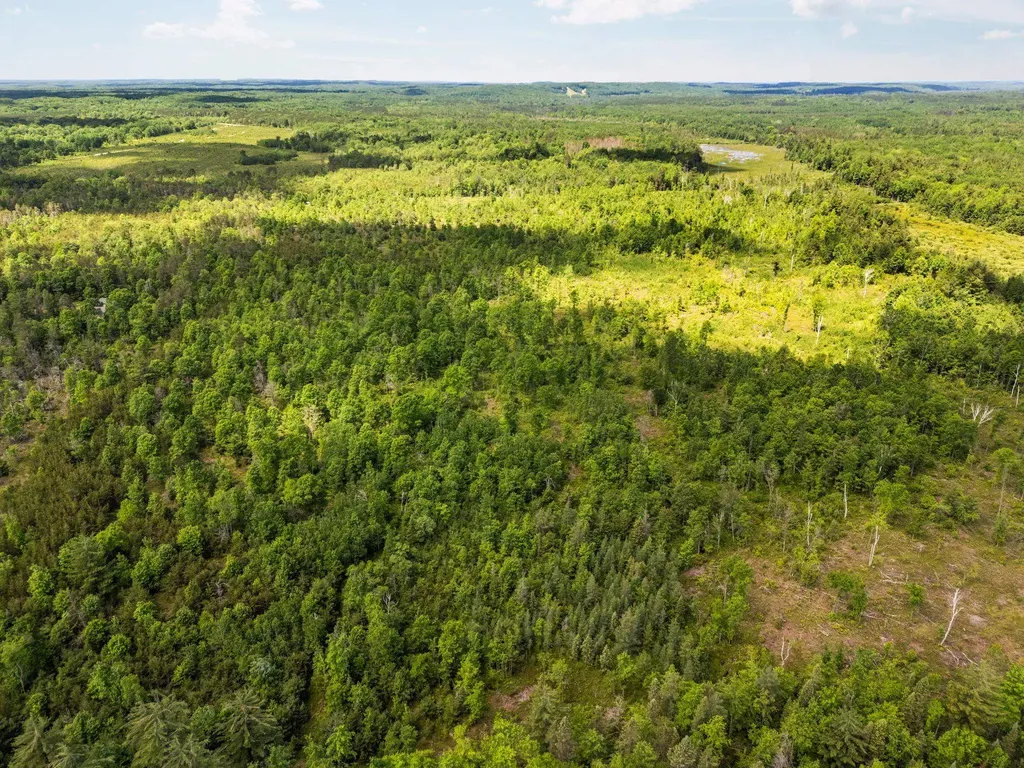 4011 W Forest Road Forest Township MI 49651