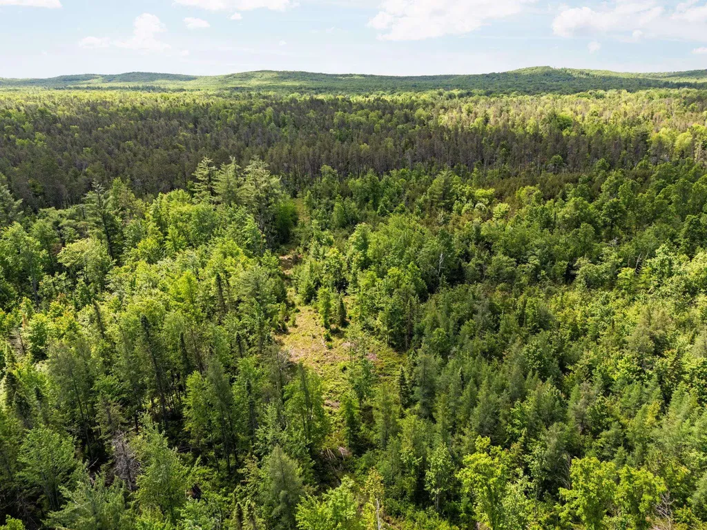 4011 W Forest Road Forest Township MI 49651