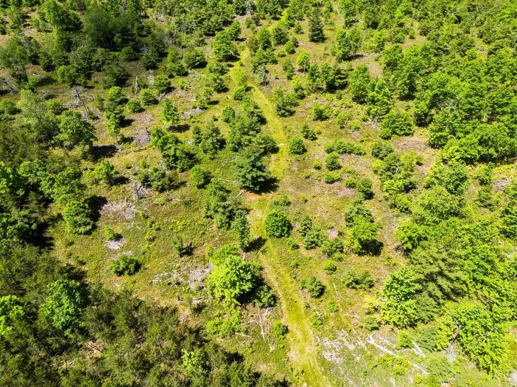 4011 W Forest Road Forest Township MI 49651