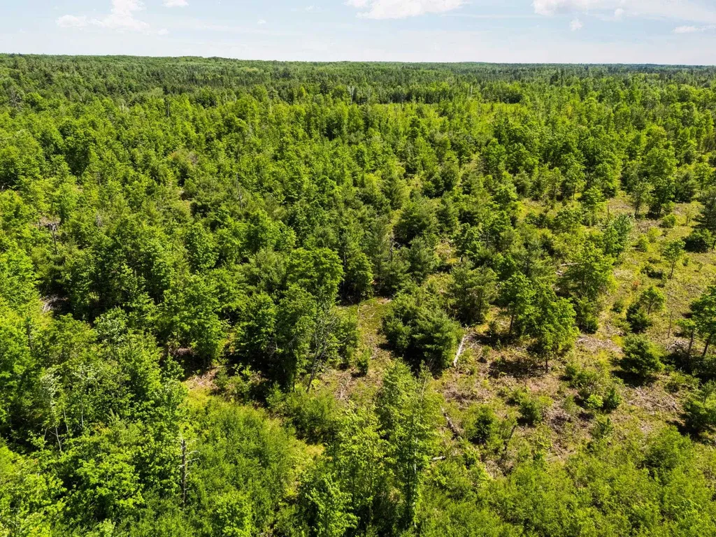 4011 W Forest Road Forest Township MI 49651