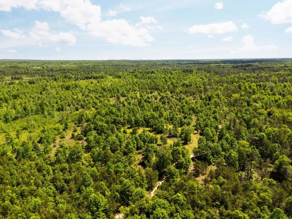 4011 W Forest Road Forest Township MI 49651