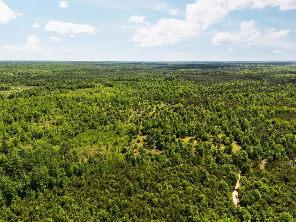 4011 W Forest Road Forest Township MI 49651