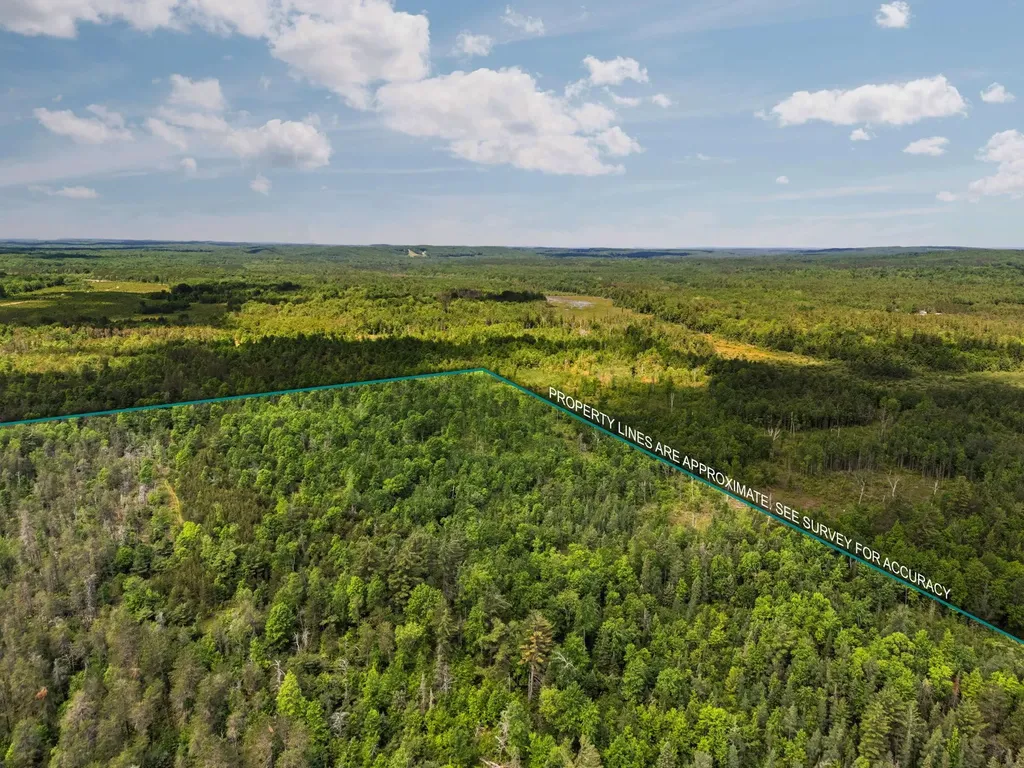 4011 W Forest Road Forest Township MI 49651
