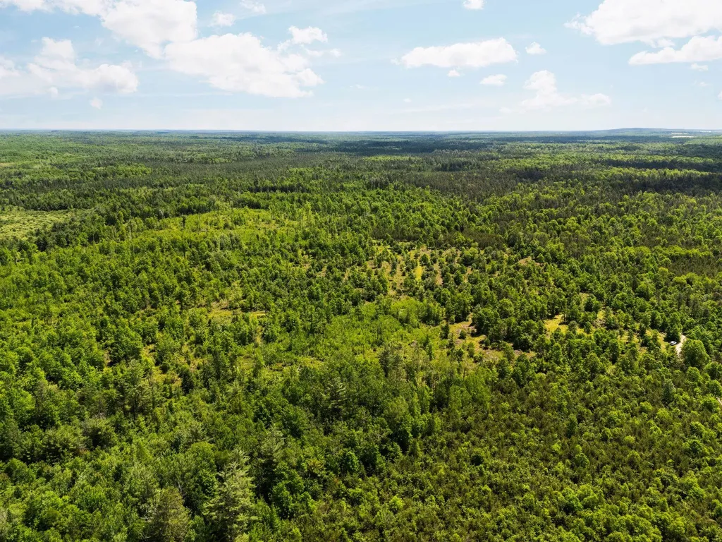 4011 W Forest Road Forest Township MI 49651