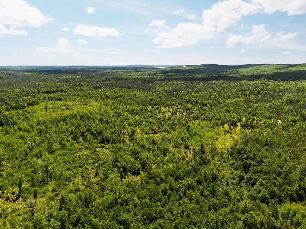 4011 W Forest Road Forest Township MI 49651