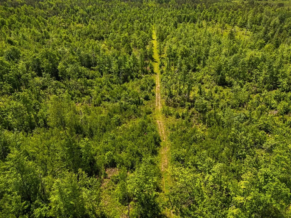 4011 W Forest Road Forest Township MI 49651