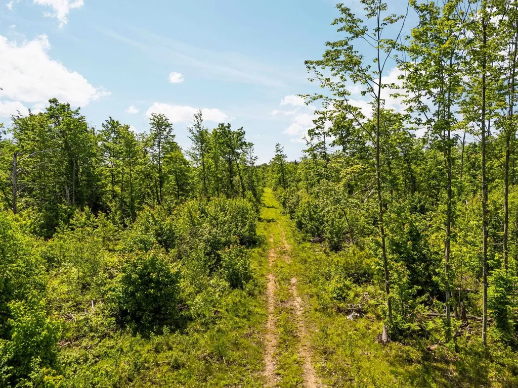 4011 W Forest Road Forest Township MI 49651