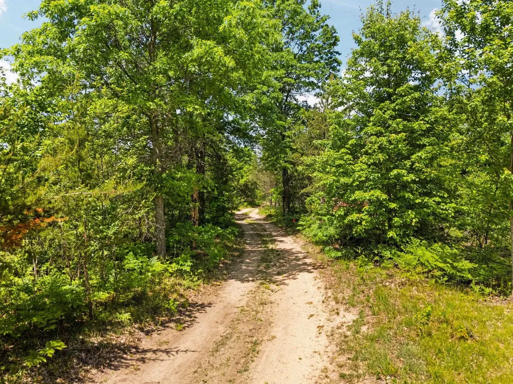 4011 W Forest Road Forest Township MI 49651