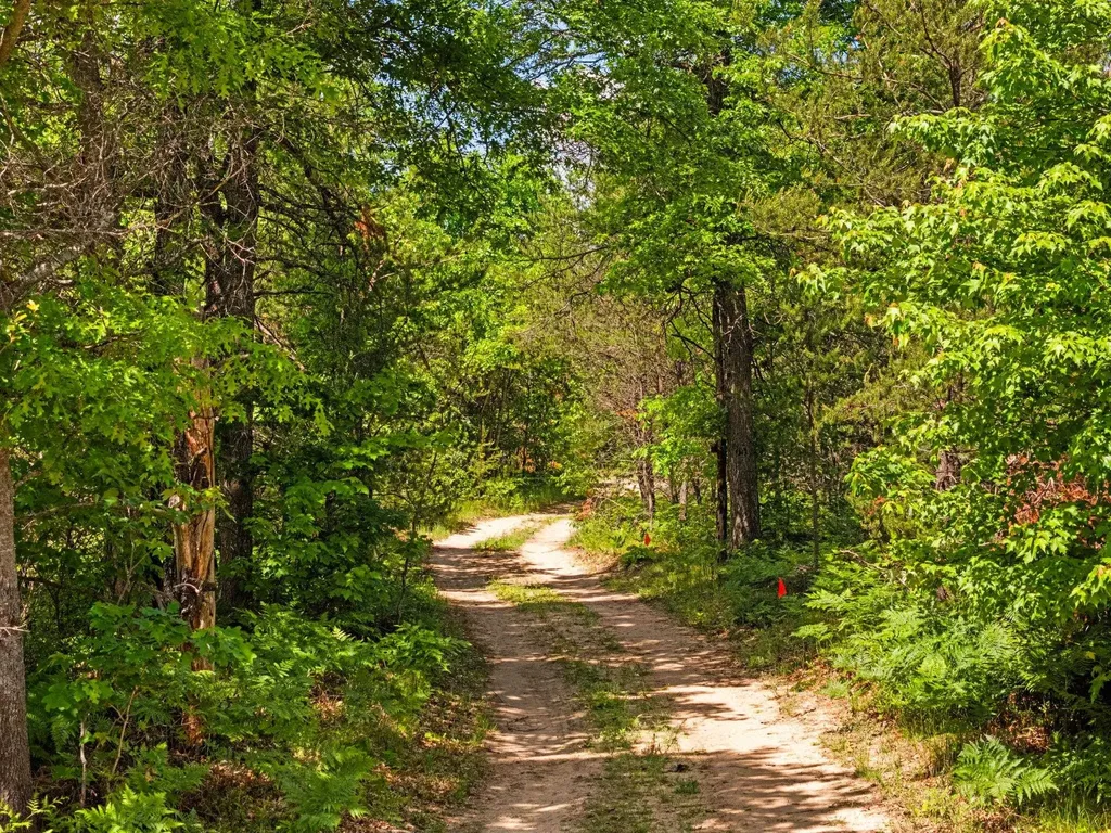 4011 W Forest Road Forest Township MI 49651