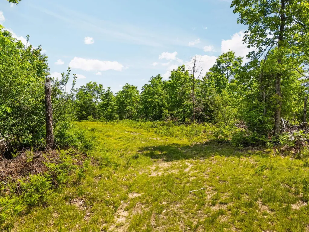 4011 W Forest Road Forest Township MI 49651