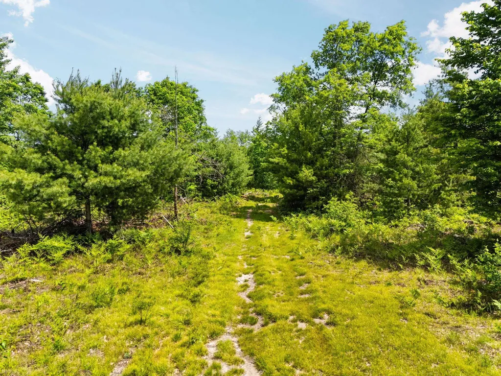 4011 W Forest Road Forest Township MI 49651