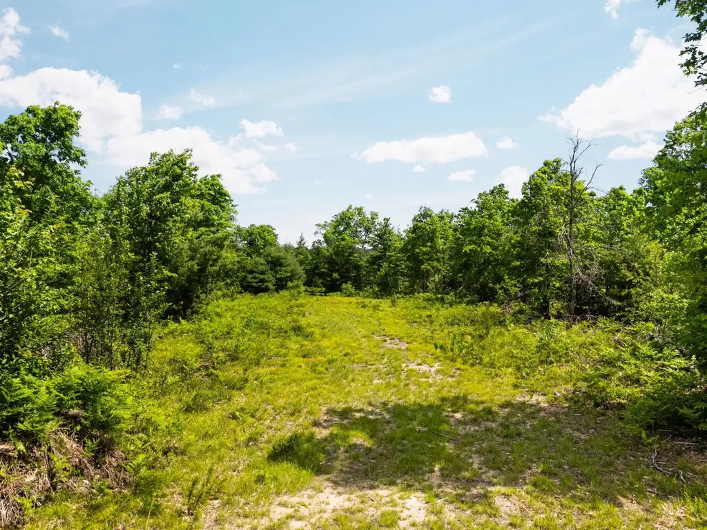 4011 W Forest Road Forest Township MI 49651