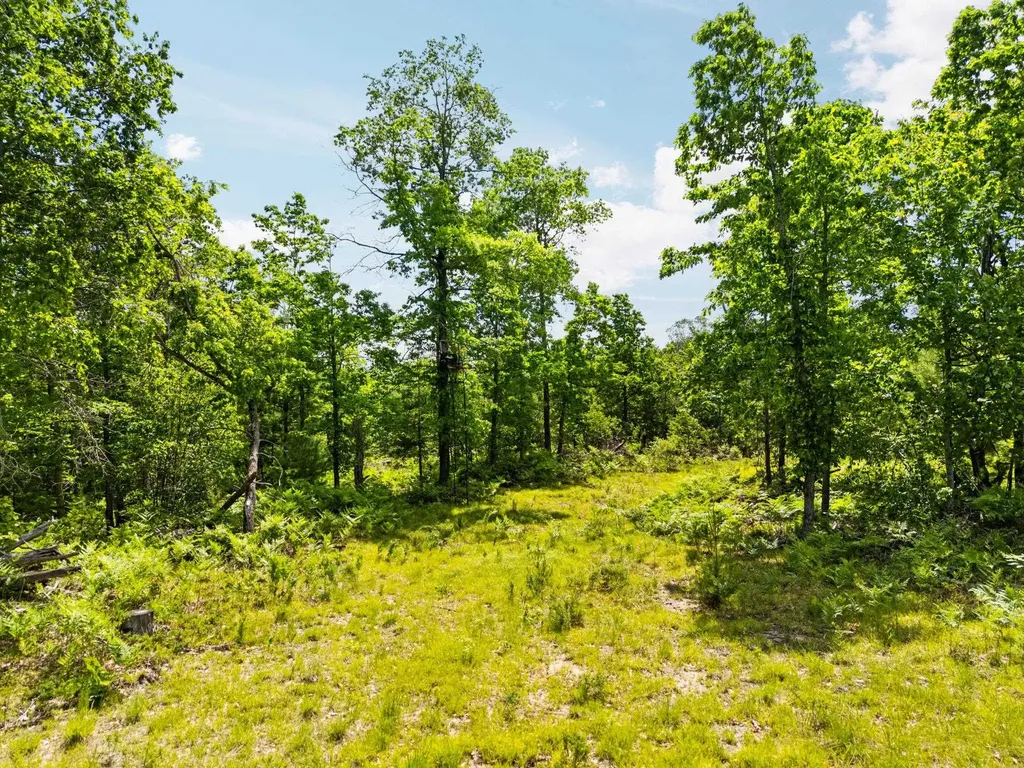 4011 W Forest Road Forest Township MI 49651