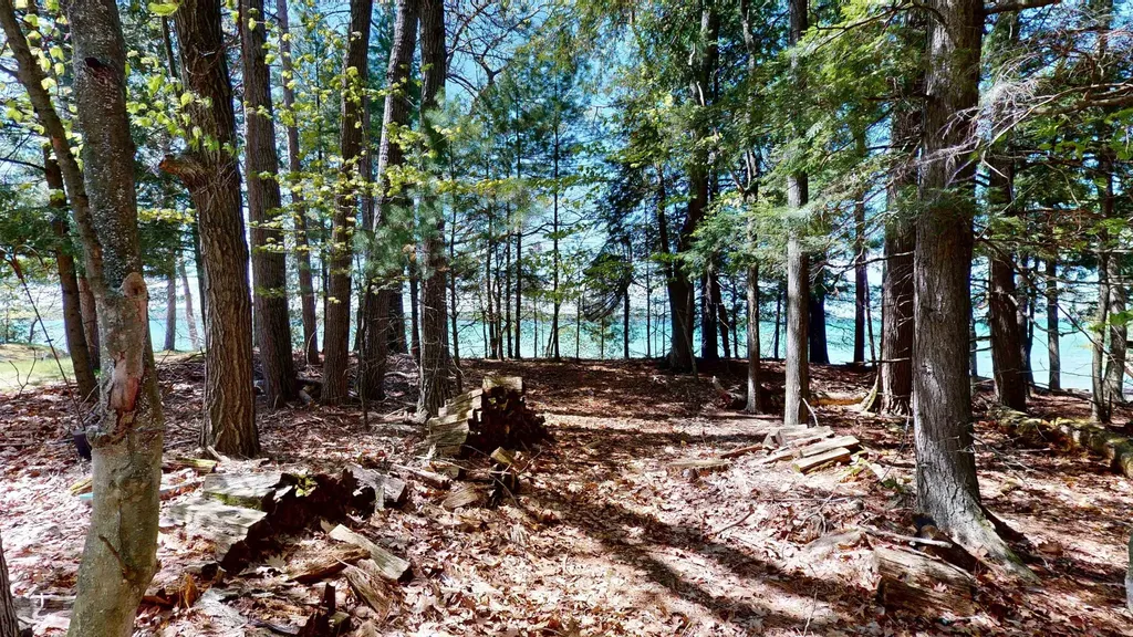 8645 Skegemog Point Road Whitewater Township MI 49690