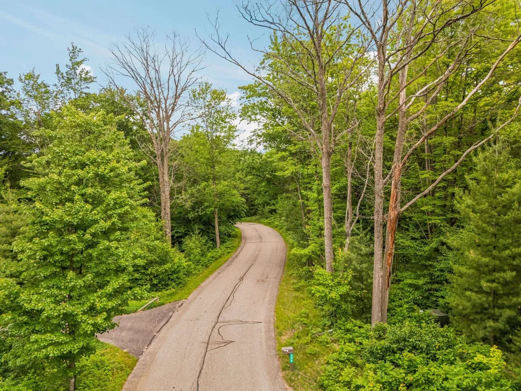 Lot 64 Bramblewood Drive Haring Charter Township MI 49601