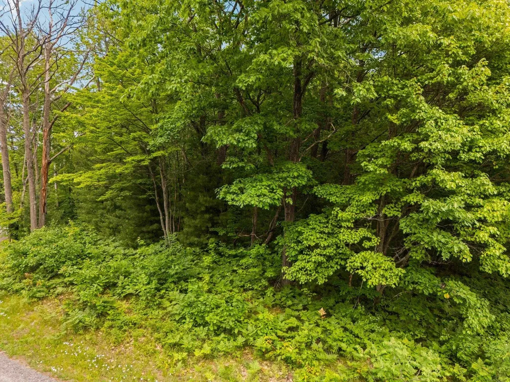 Lot 64 Bramblewood Drive Haring Charter Township MI 49601