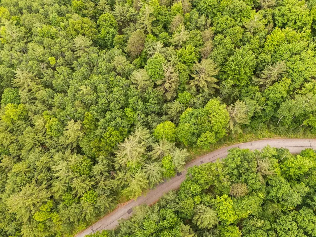 Lot 64 Bramblewood Drive Haring Charter Township MI 49601