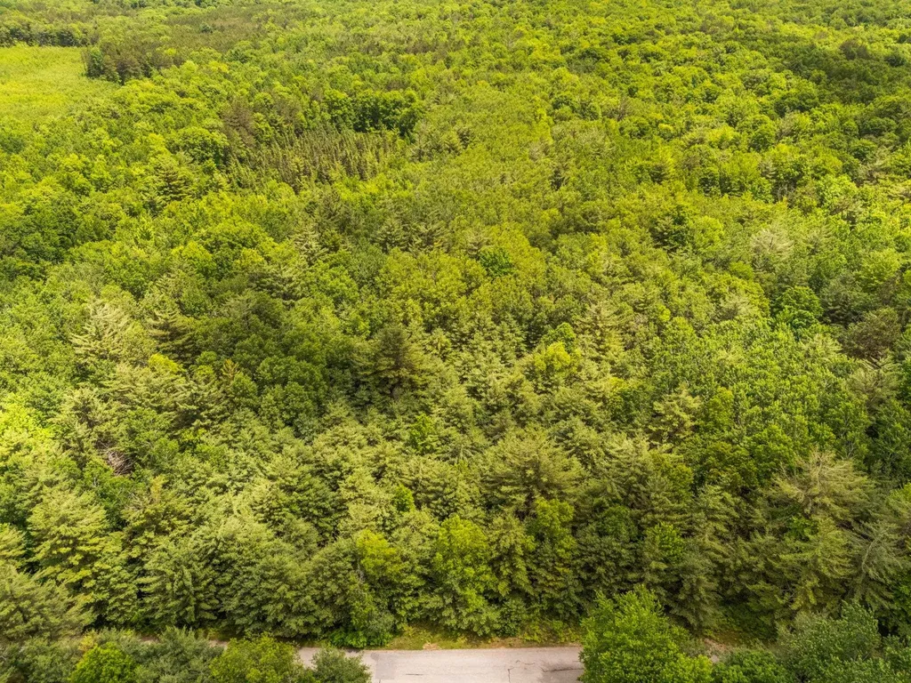 Lot 64 Bramblewood Drive Haring Charter Township MI 49601