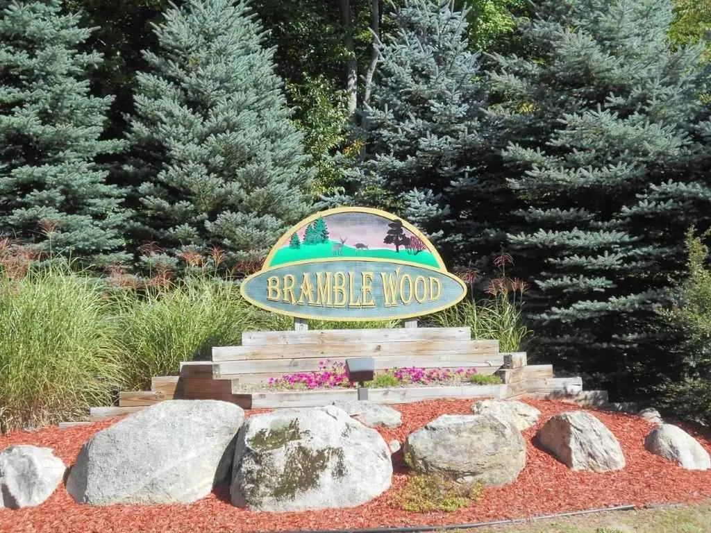 Lot 64 Bramblewood Drive Haring Charter Township MI 49601