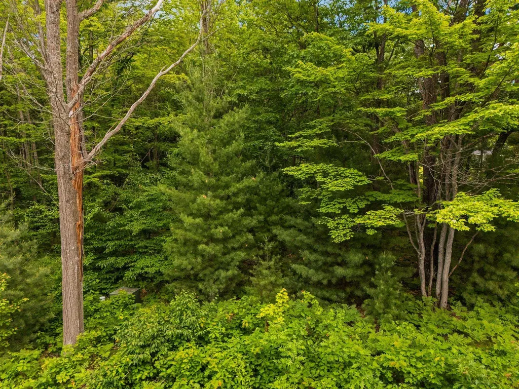 Lot 64 Bramblewood Drive Haring Charter Township MI 49601