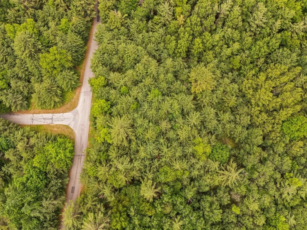 Lot 64 Bramblewood Drive Haring Charter Township MI 49601