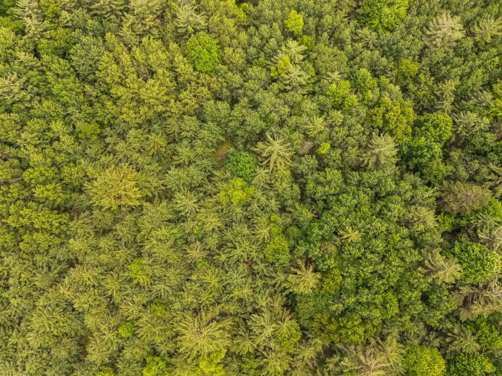 Lot 64 Bramblewood Drive Haring Charter Township MI 49601
