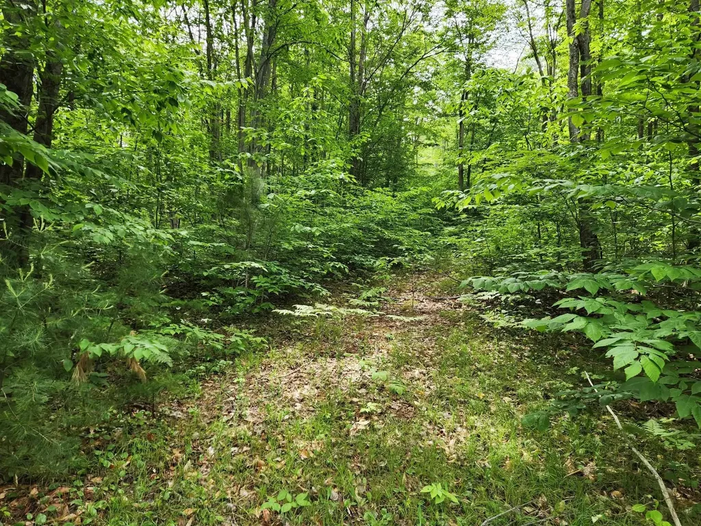 10 Acres Blue Lake Road, NE Blue Lake Township MI 49646