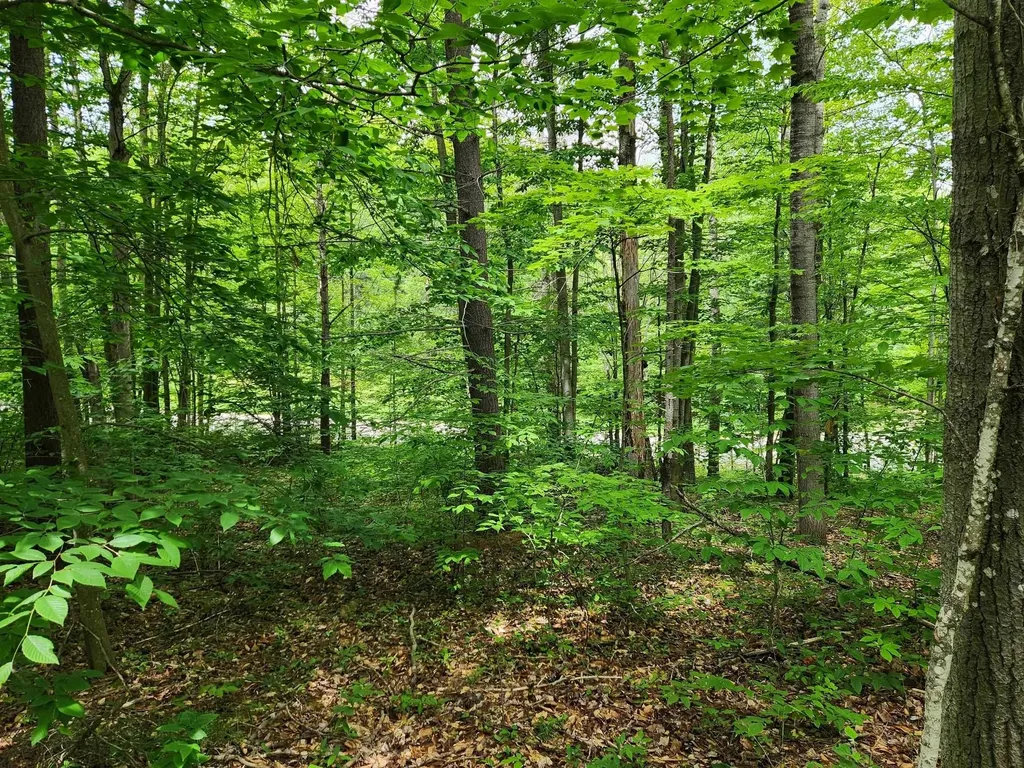 10 Acres Blue Lake Road, NE Blue Lake Township MI 49646
