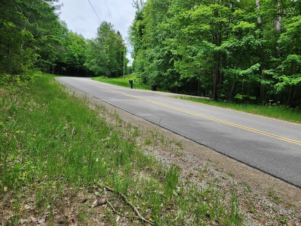 10 Acres Blue Lake Road, NE Blue Lake Township MI 49646