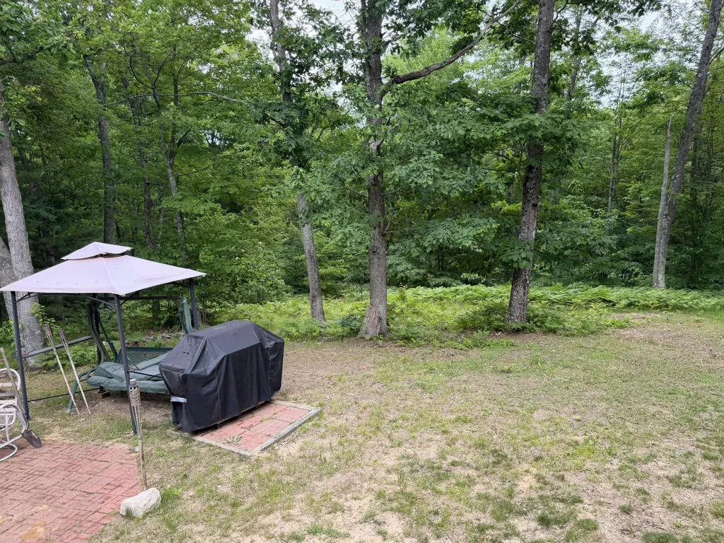8696 E Hillview Trail Pinora Township MI 49677