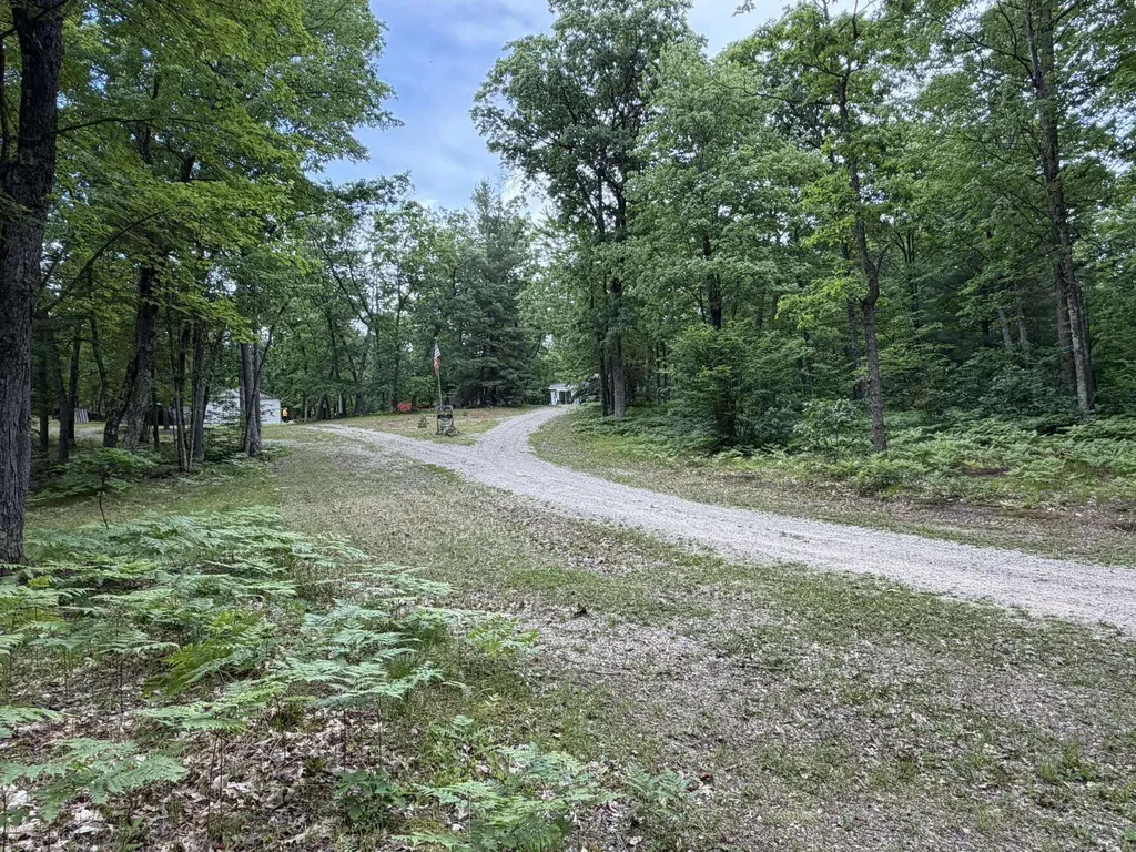 8696 E Hillview Trail Pinora Township MI 49677