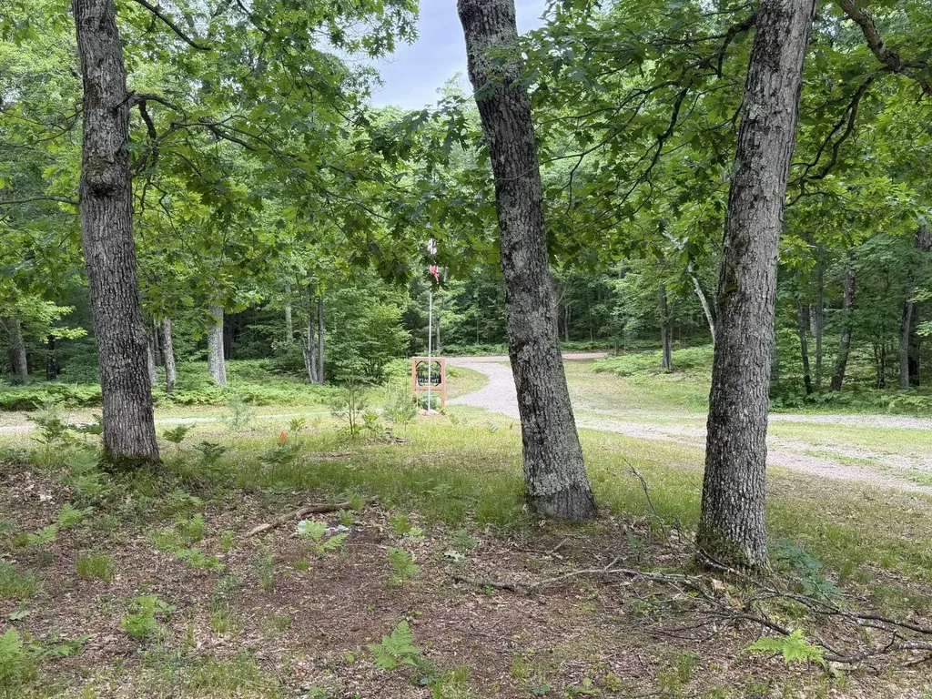 8696 E Hillview Trail Pinora Township MI 49677