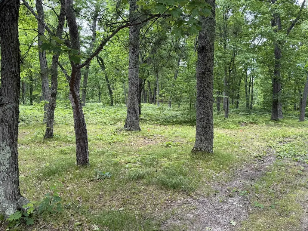 8696 E Hillview Trail Pinora Township MI 49677