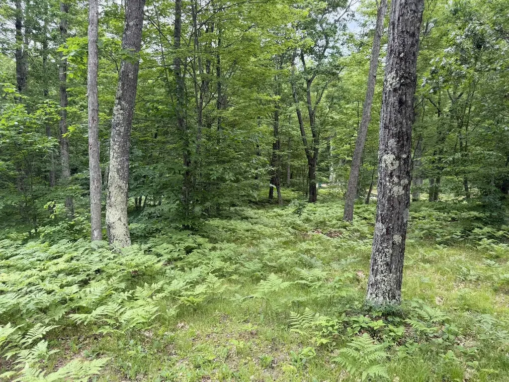 8696 E Hillview Trail Pinora Township MI 49677