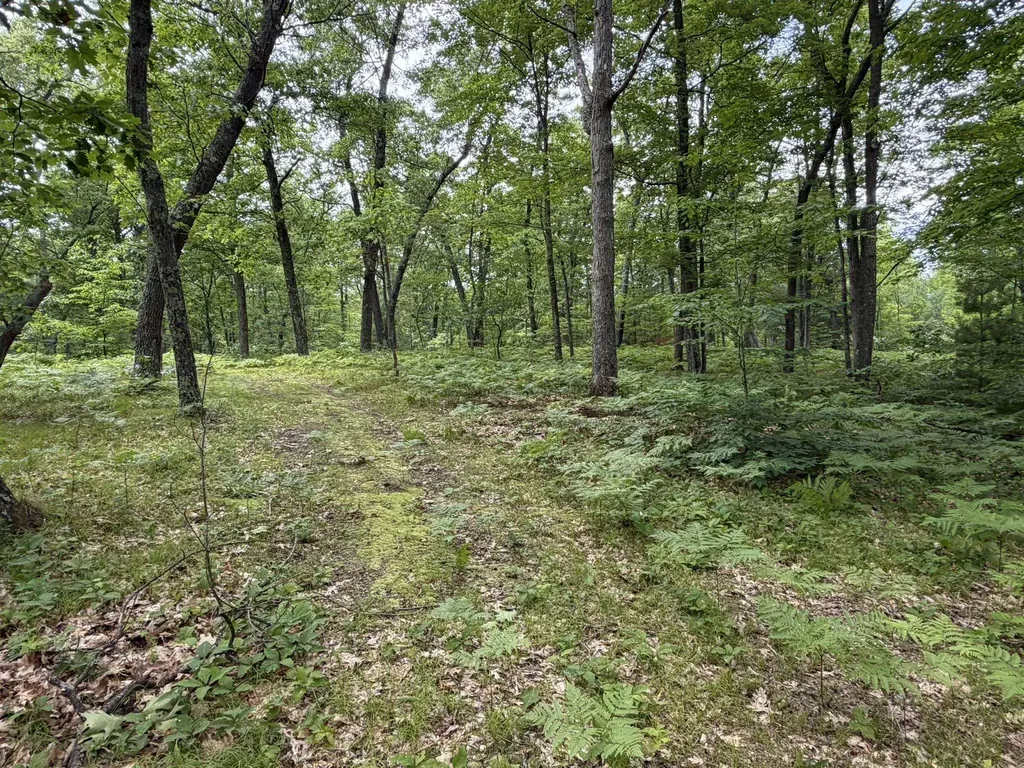 8696 E Hillview Trail Pinora Township MI 49677